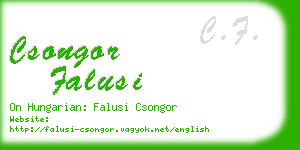 csongor falusi business card